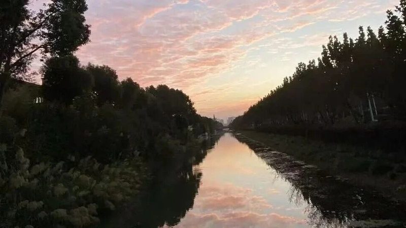 专利申请人为个人或单位，且属于以下类型之一：
